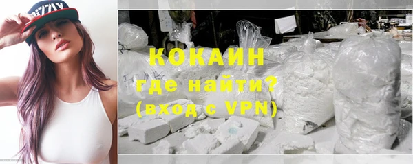 меф Дмитриев