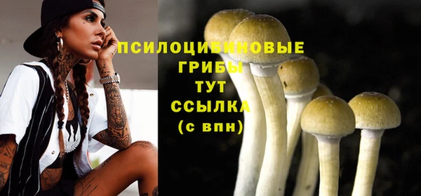 дживик Ельня