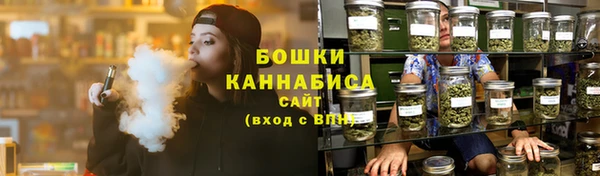 дживик Ельня