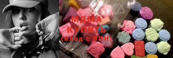 дживик Ельня