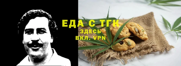 дживик Ельня
