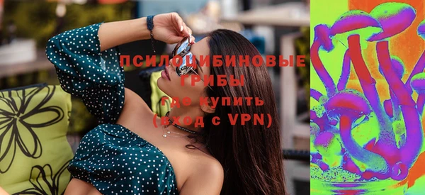 дживик Ельня