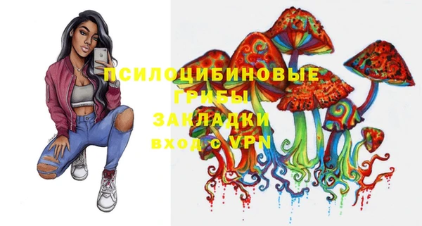 меф Дмитриев