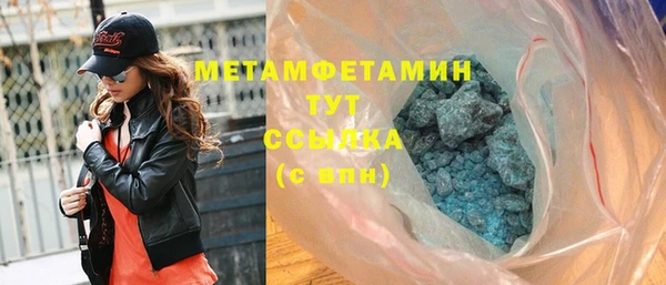 дживик Ельня